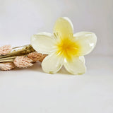 Haarklem flower soft yellow